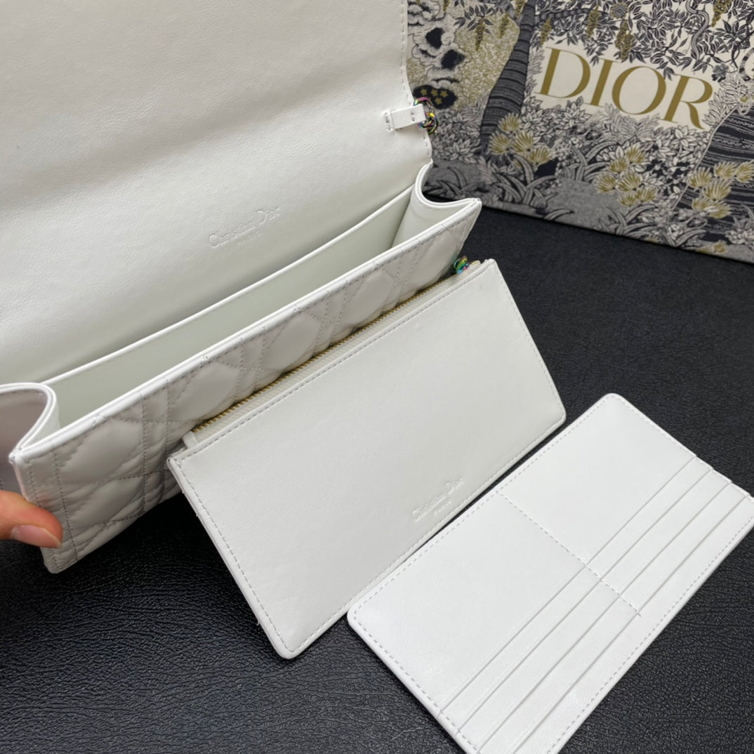 CARO SLIM POUCH 21 BAG IN WHITE CALFSKIN