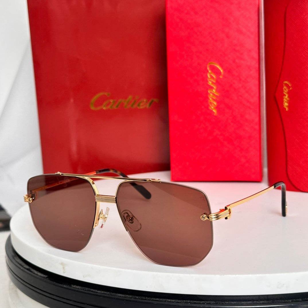 PREMIÈRE NAVIGATOR FRAME SUNGLASSES CT6011S IN METAL