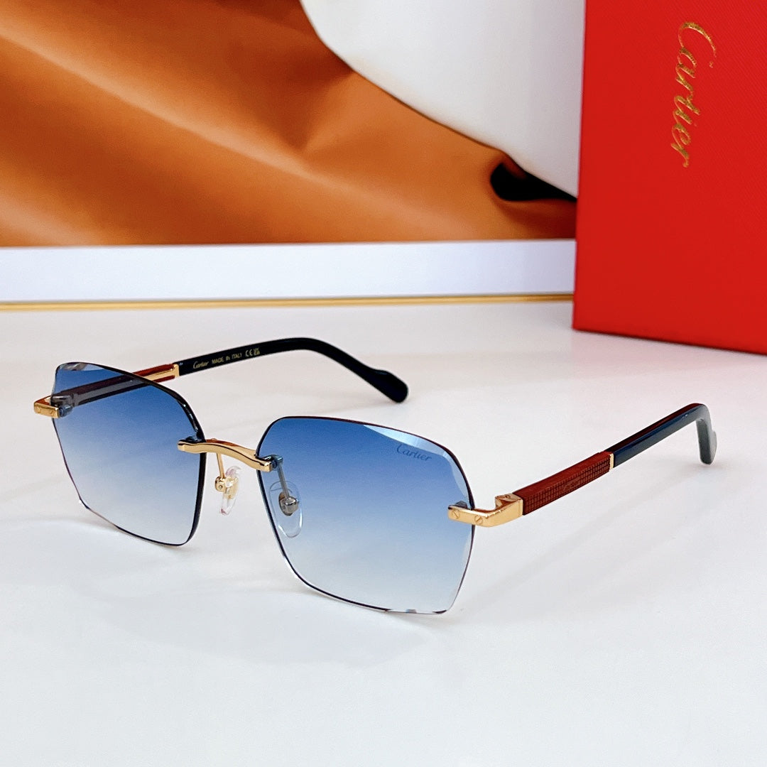 SANTOS SQUARE FRAME SUNGLASSES CT0483S IN METAL