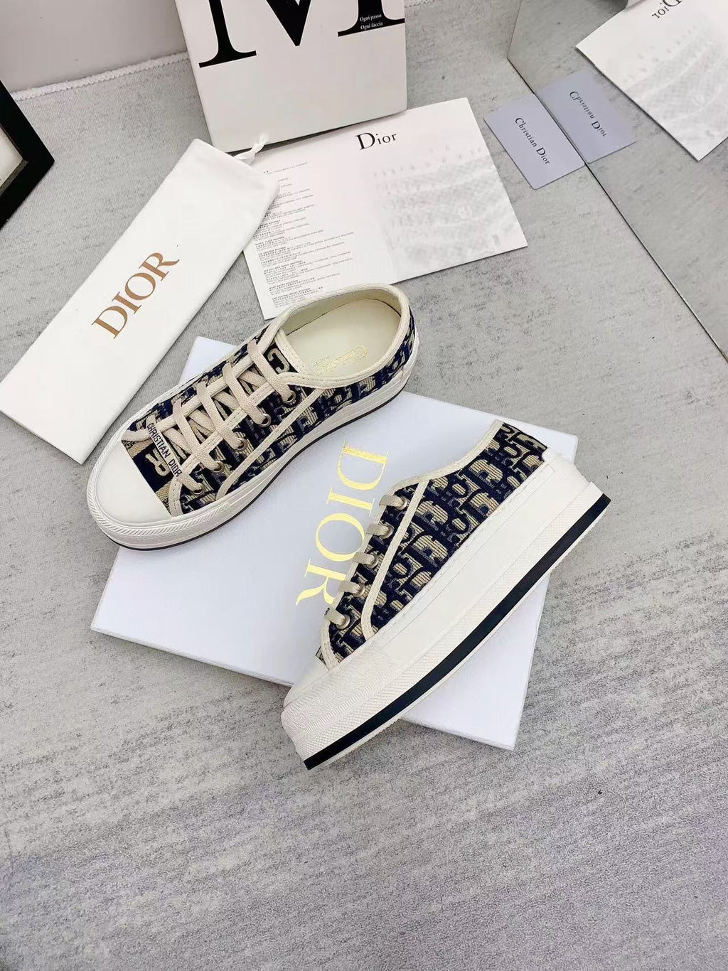 WALKN 45 BEIGE BLUE OBLIQUE EMBROI-DERY CANVAS