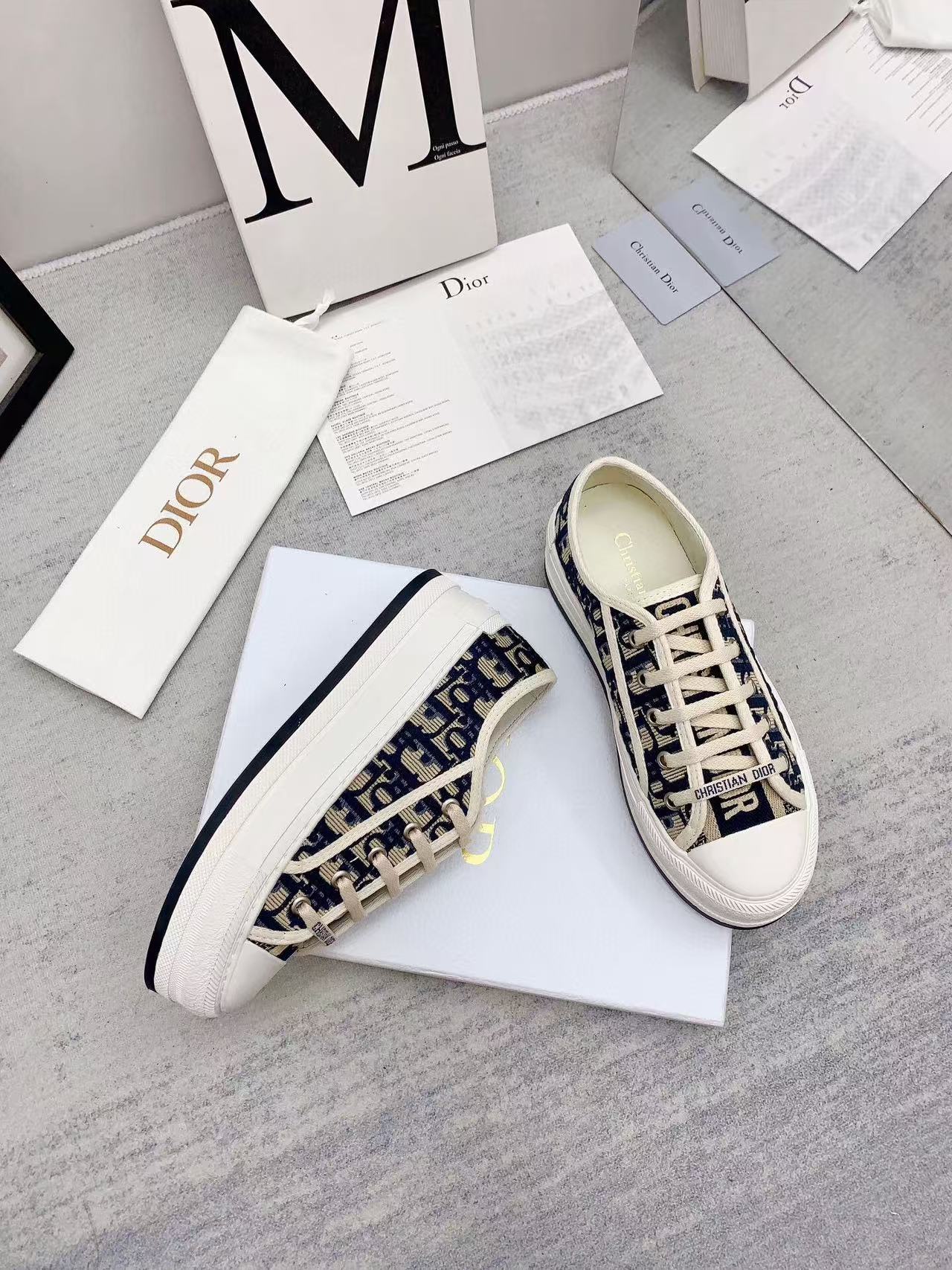 WALKN 45 BEIGE BLUE OBLIQUE EMBROI-DERY CANVAS