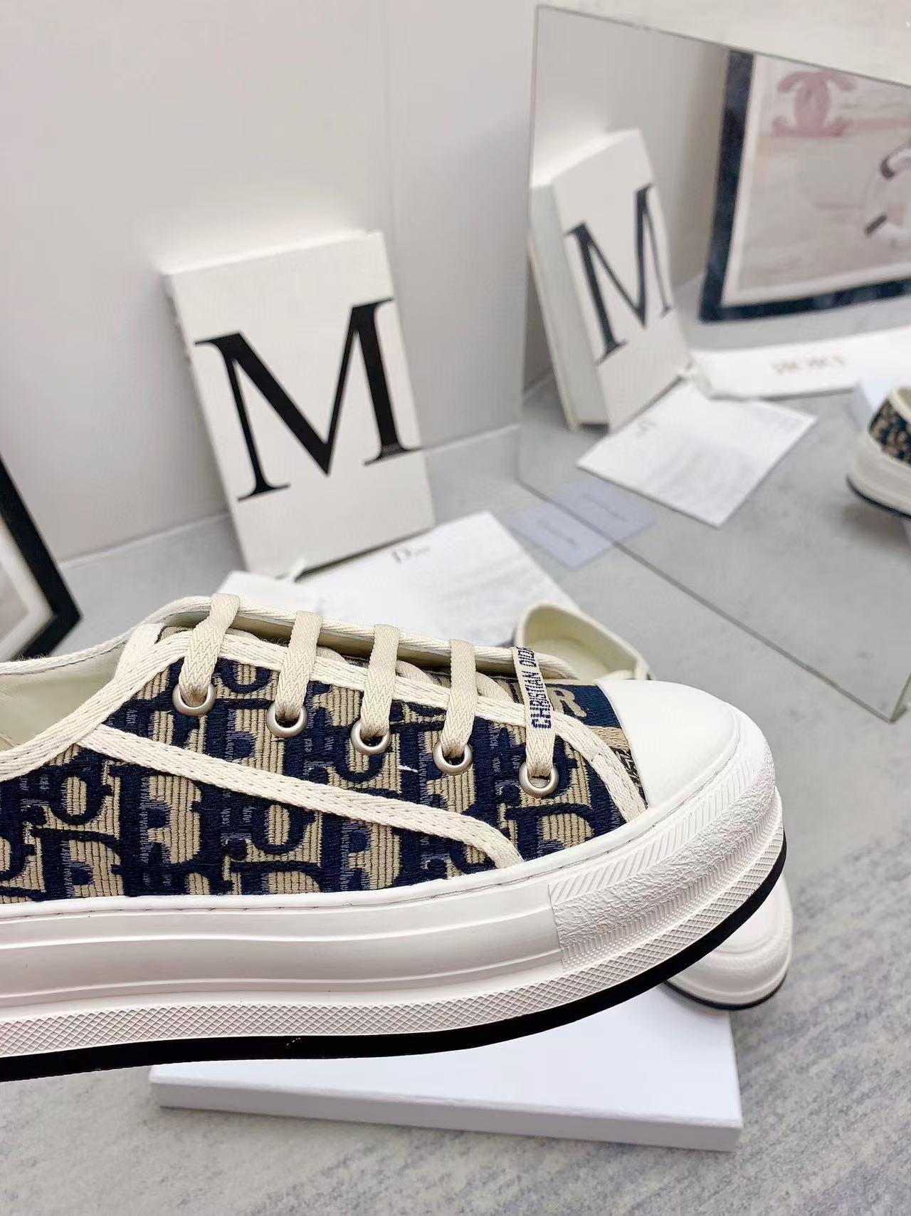 WALKN 45 BEIGE BLUE OBLIQUE EMBROI-DERY CANVAS