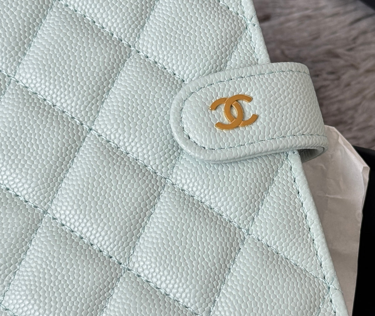 CHANEL 25S MULTI PURPOSE PASSPORT WALLET 15 IN SOFT MINT CALFSKIN GOLD HARDWARE