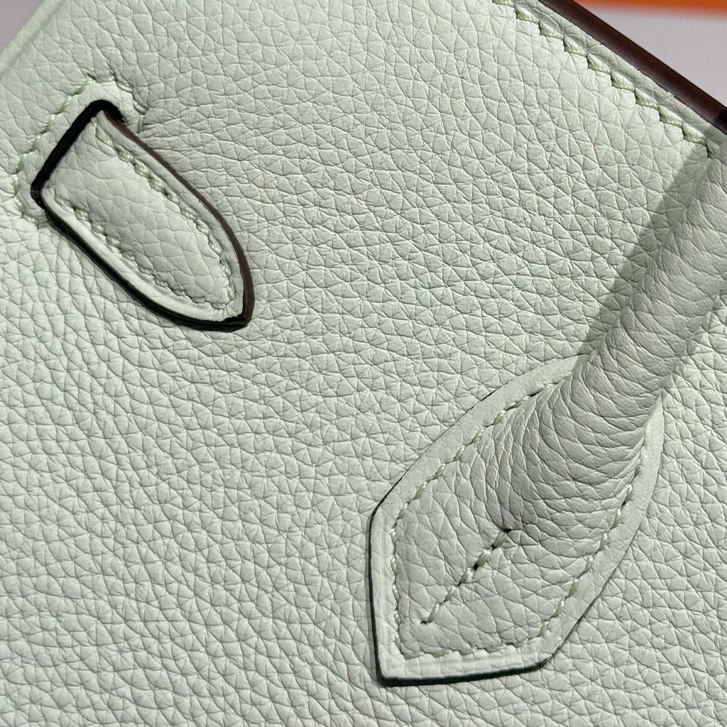 HERMES 25S MEDIUM BIRKIN 25 IN LIGHT MINT GREEN CALFSKIN SILVER HARDWARE
