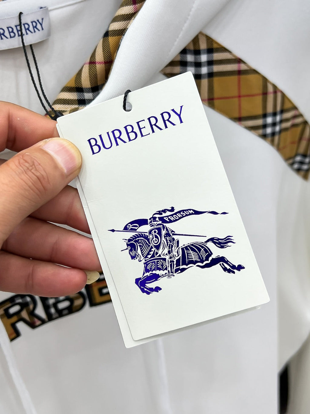 BURBERRY 25S HOODIE 277