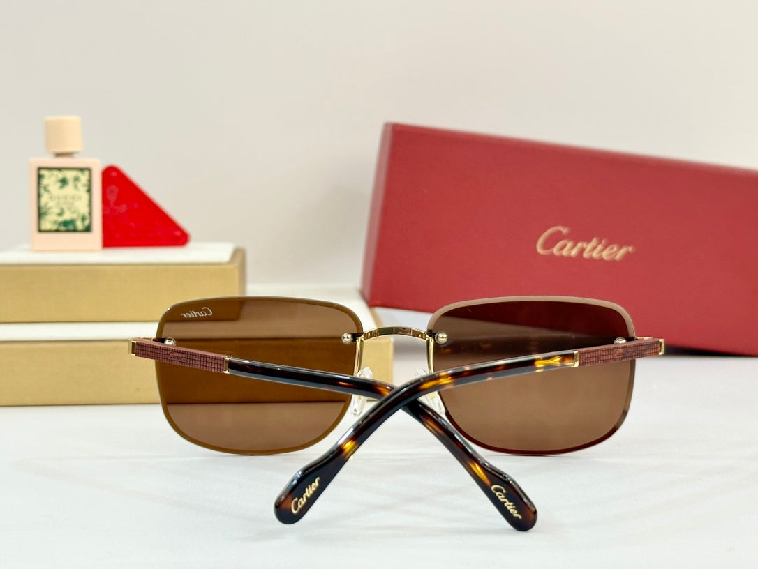 PREMIÈRE SQUARE FRAME SUNGLASSES 530304 IN METAL AND WOODEN