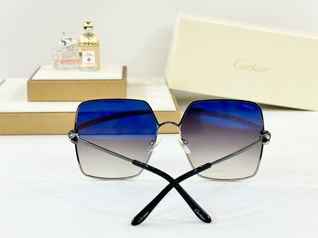 C DE OVERSIZED SQUARE FRAME SUNGLASSES CT0361 IN METAL