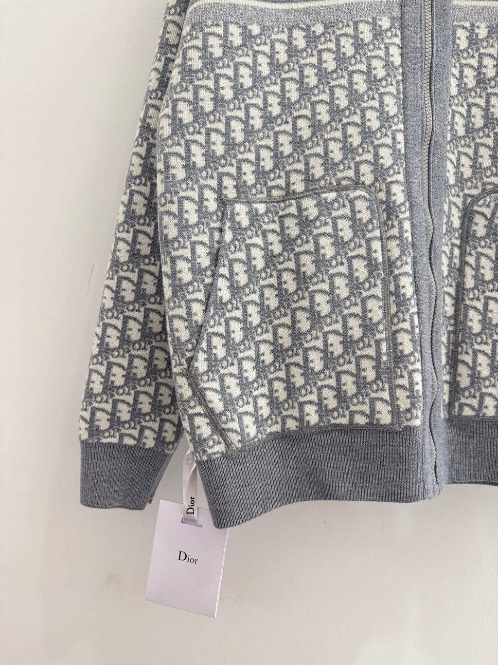 DIOR 25S ZIP-UP HOODIE 510