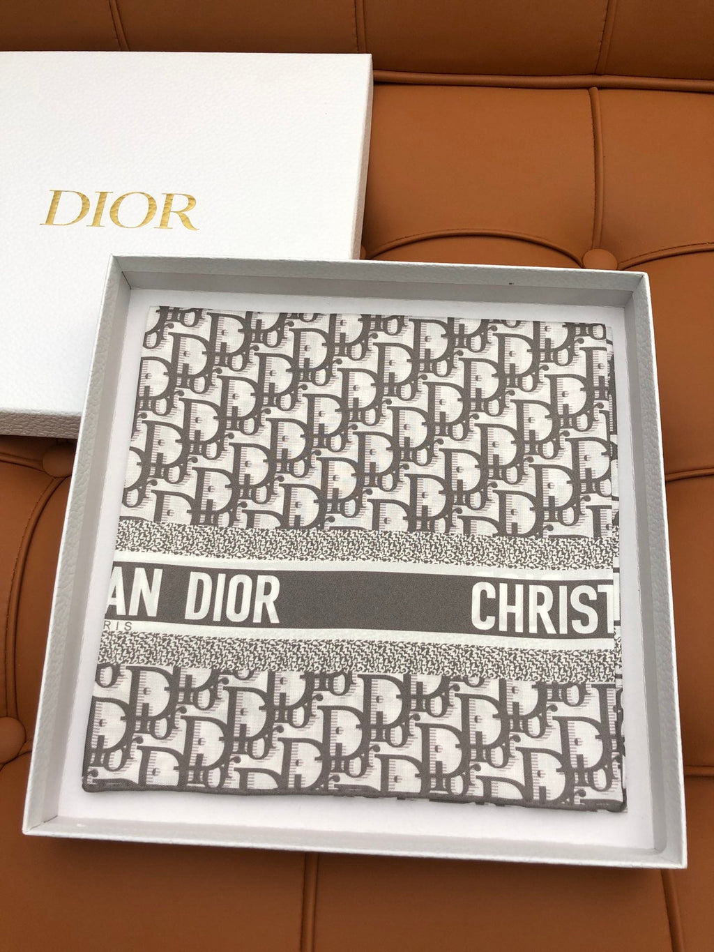 DIOR SCARF 90 IN SILK 704590