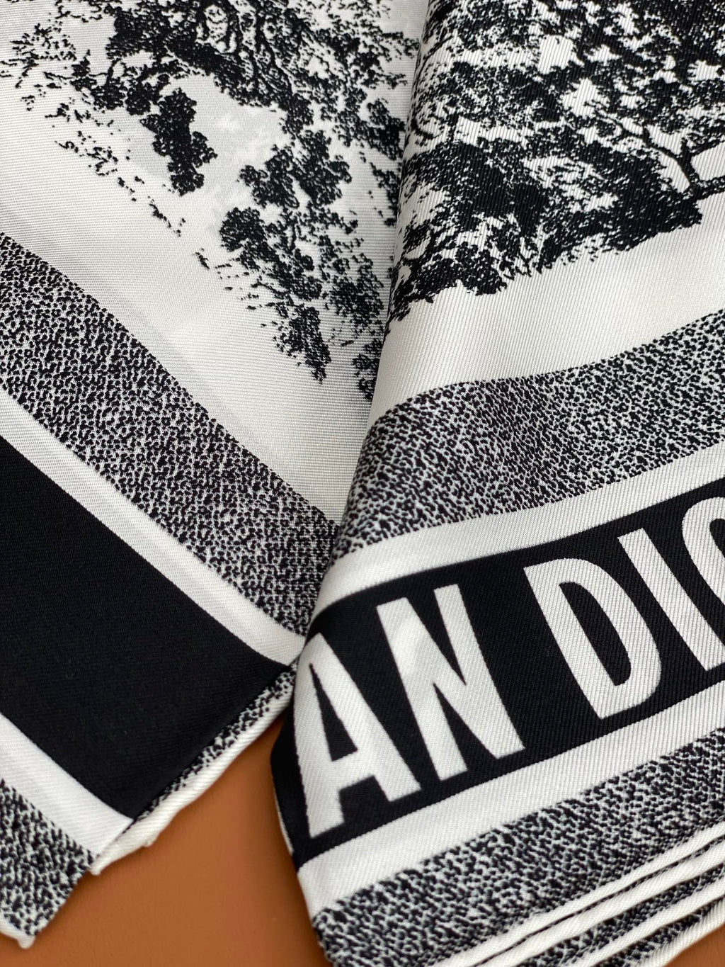 DIOR SCARF 90 IN SILK 704596