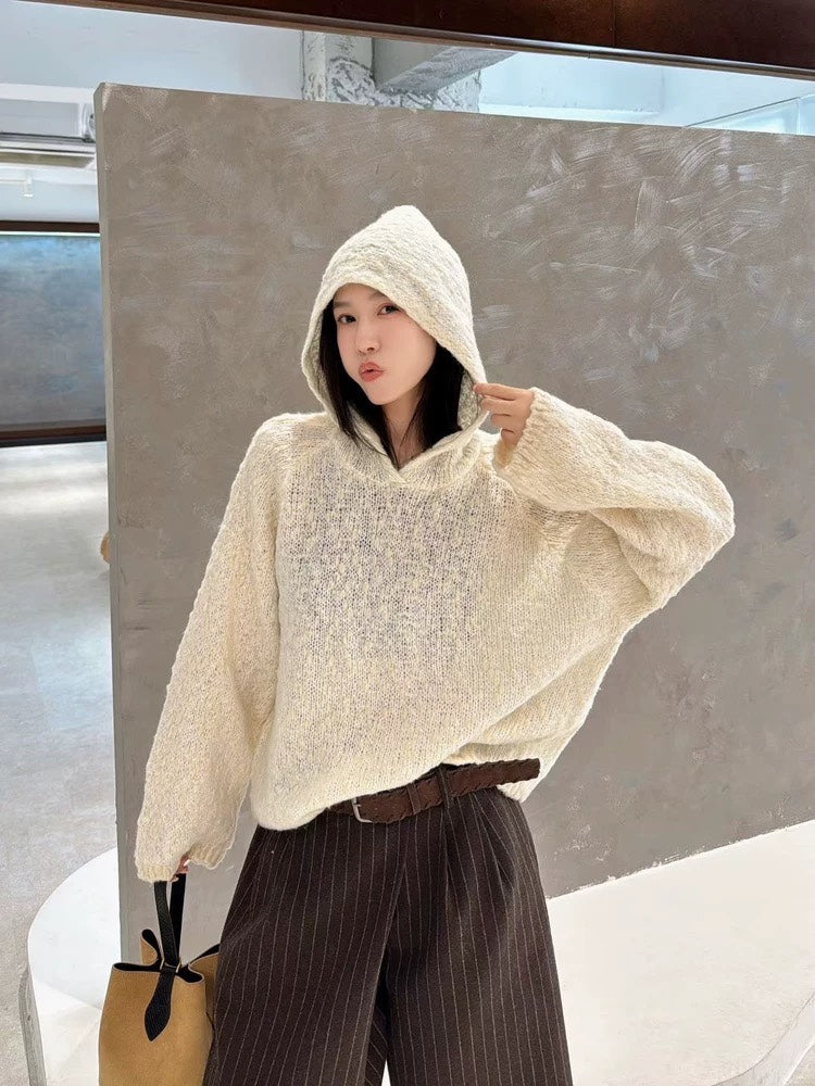 LOEWE HOODIE STYLE 279