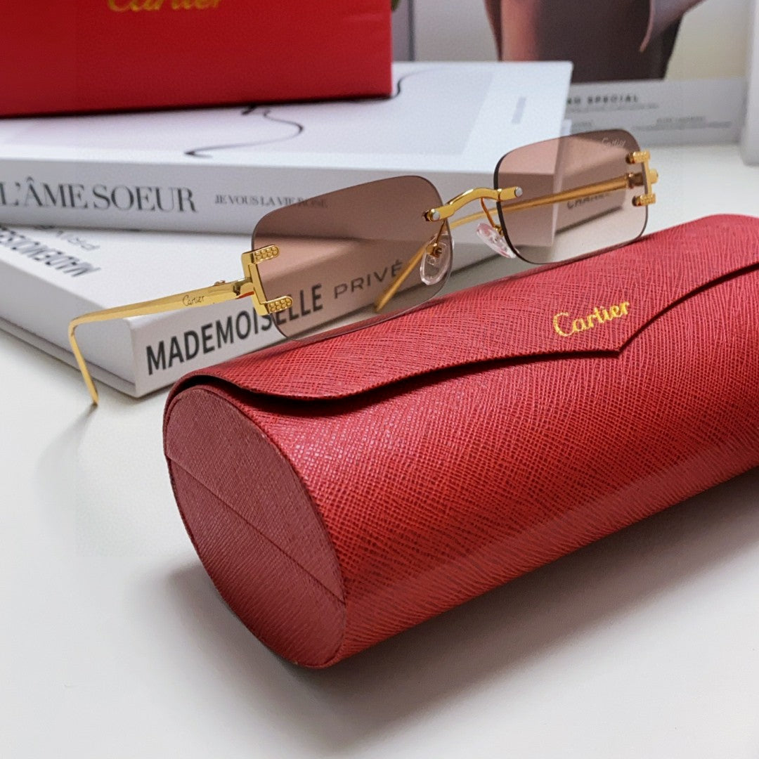 SIGNATURE C DE RECTANGULAR FRAME SUNGLASSES 575776 IN METAL