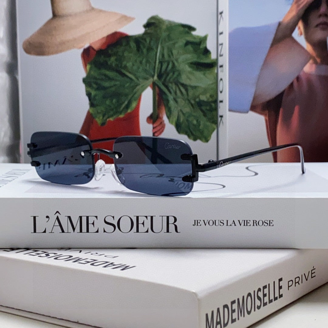 SIGNATURE C DE RECTANGULAR FRAME SUNGLASSES 575776 IN METAL