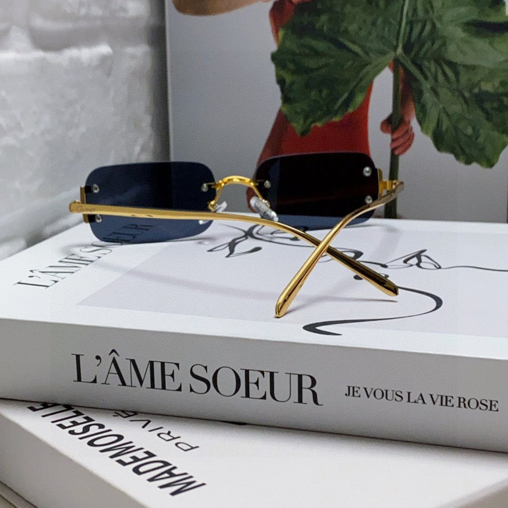 SIGNATURE C DE RECTANGULAR FRAME SUNGLASSES 575776 IN METAL