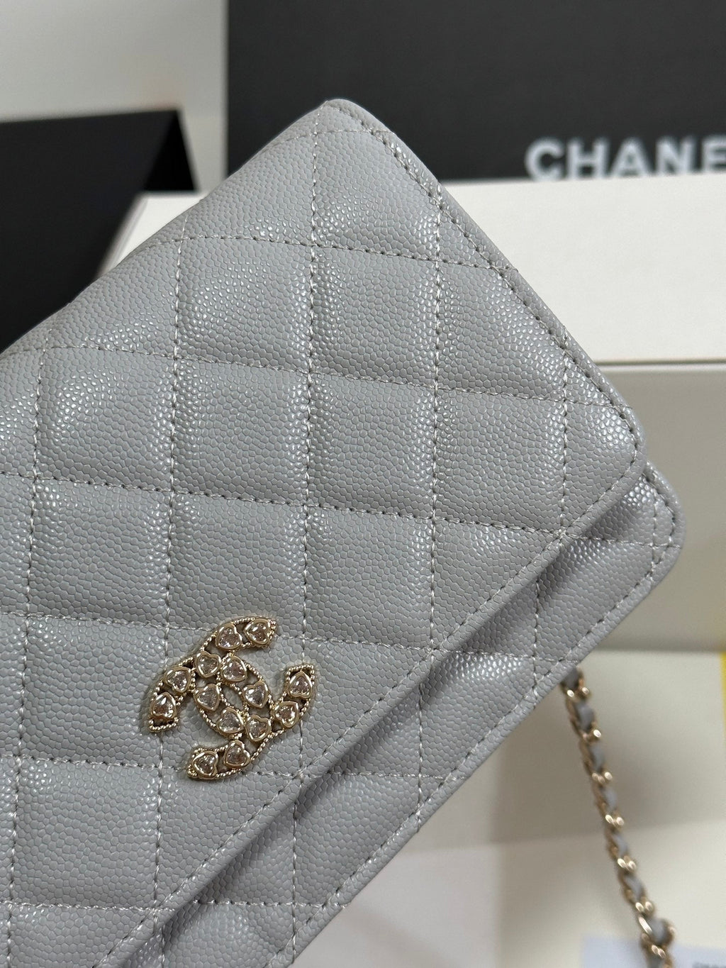 STRASS WOC ENTRUPY BAG 19 IN SPANISH GREY CALFSKIN GOLD HARDWARE