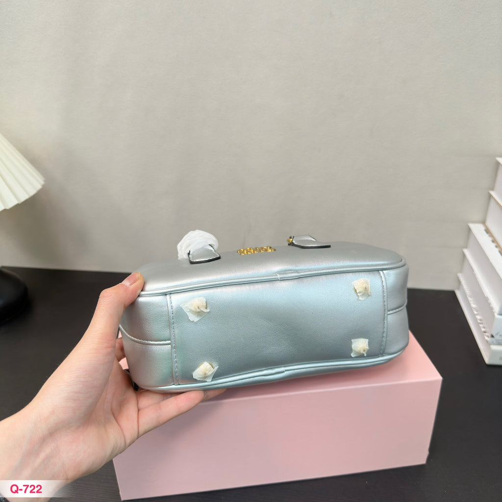 ARCADIE 22 BAG IN SILVER CALFSKIN